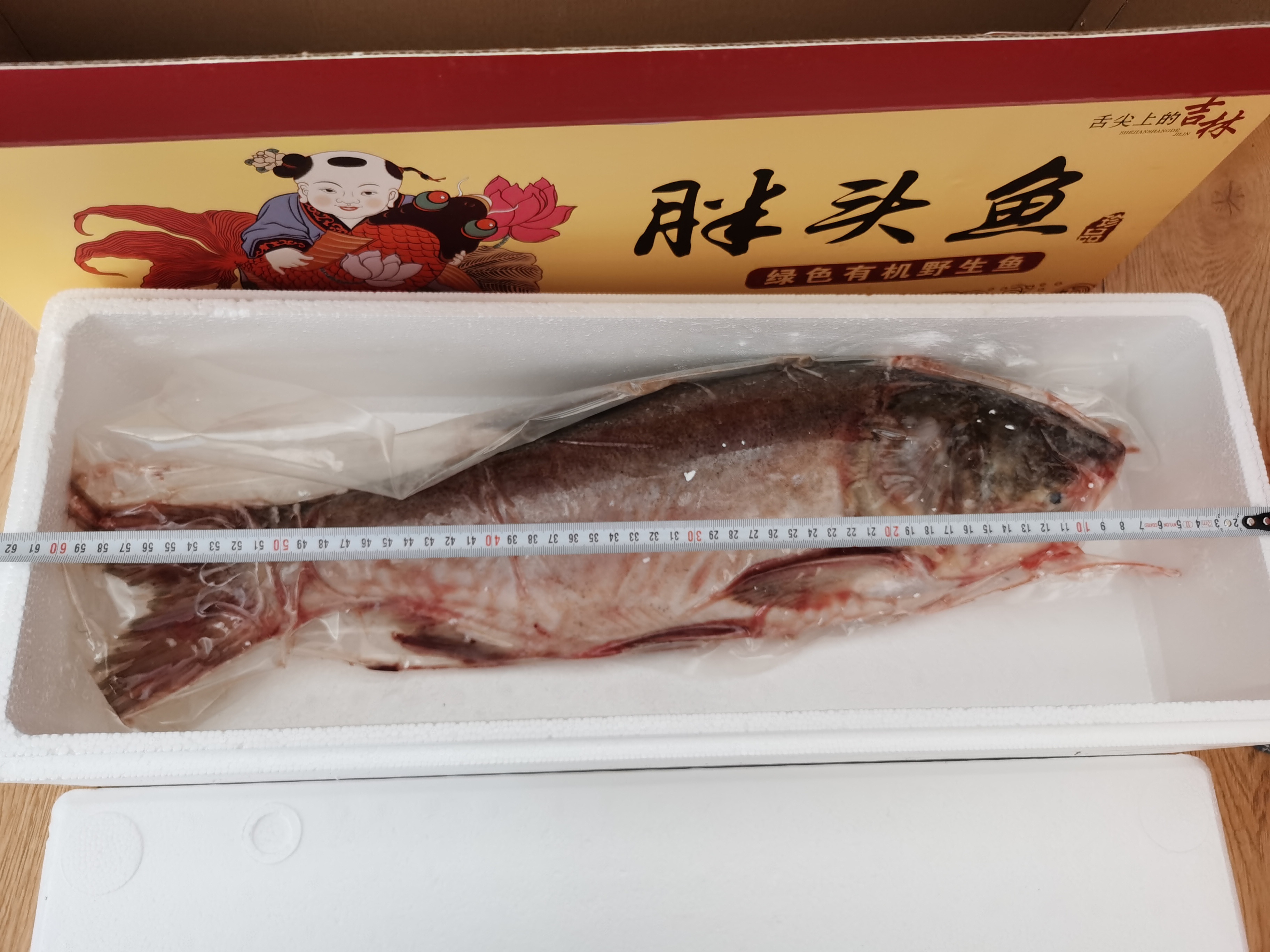 胖头鱼2