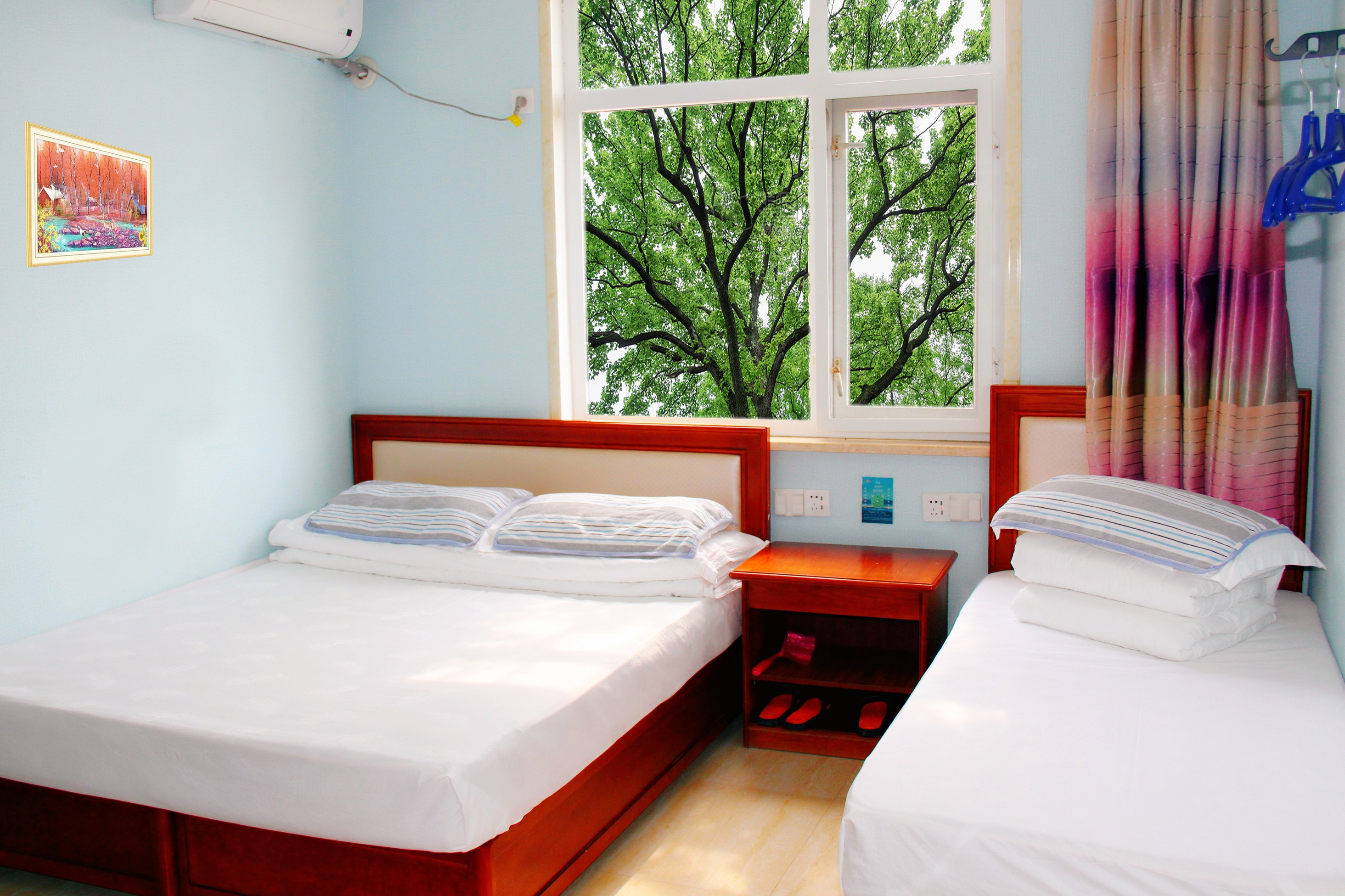 IMG20220719102936_副本_副本