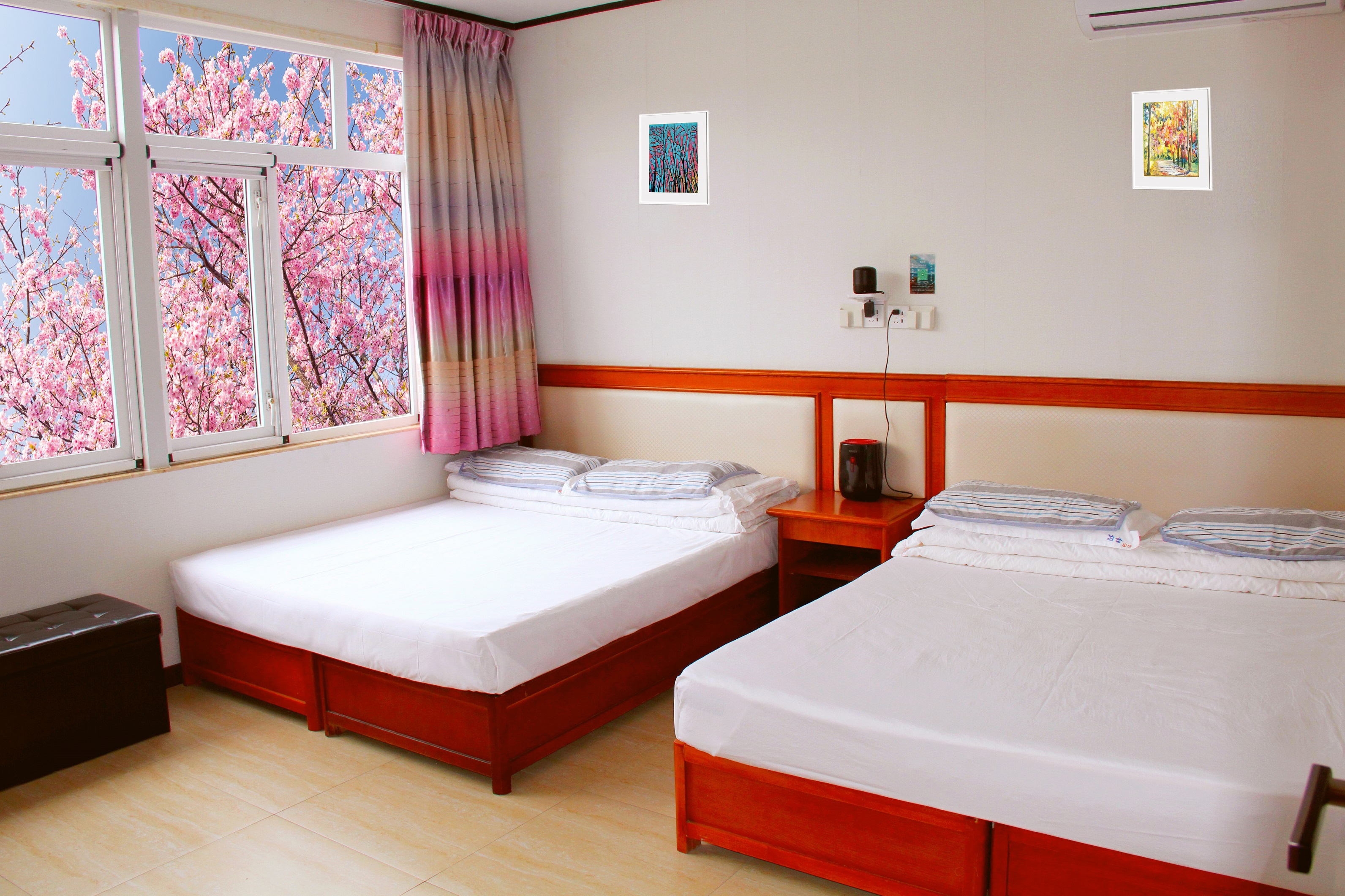 微信图片_20240716203116